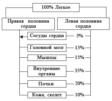 1.1. Гематологические показатели взрослого человека