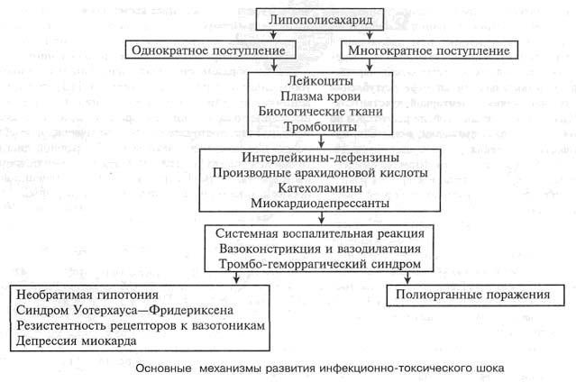 Реферат: Инфекционно-токсический шок. Этиология, патогенез, клиника, лечение