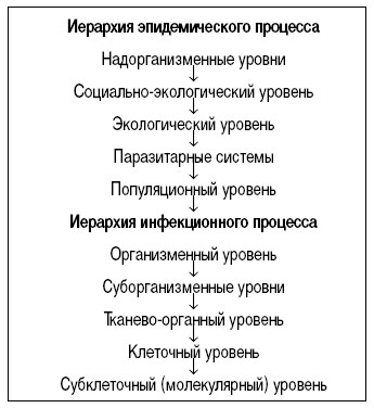 Контрольная работа по теме Инфекционные болезни: специфика их течения в условиях Забайкалья (экологический и социальные аспект) на примере полиомиелита