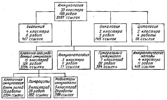 Доклад: Об иммунологии