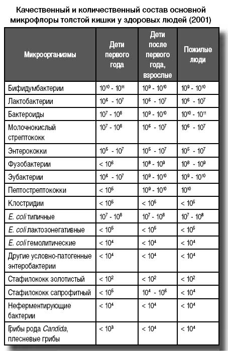 Нарушение микрофлоры кишечника: профилактика и лечение