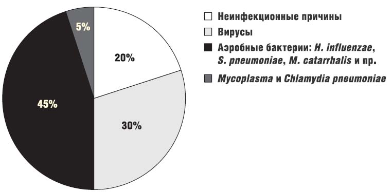 этиология обострений ХОБЛ