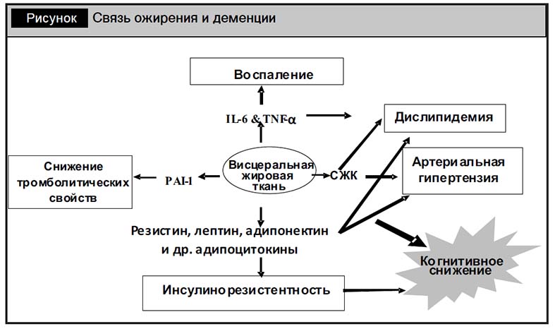 Стресс И Лишний Вес Взаимосвязь