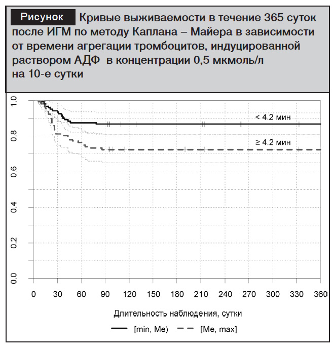 В течение 365 дней