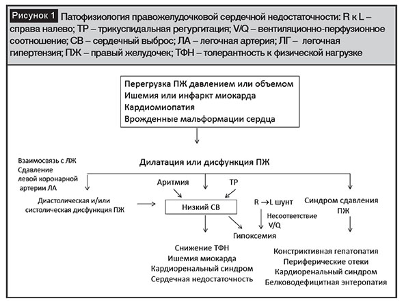 Сердечная недостаточность схема